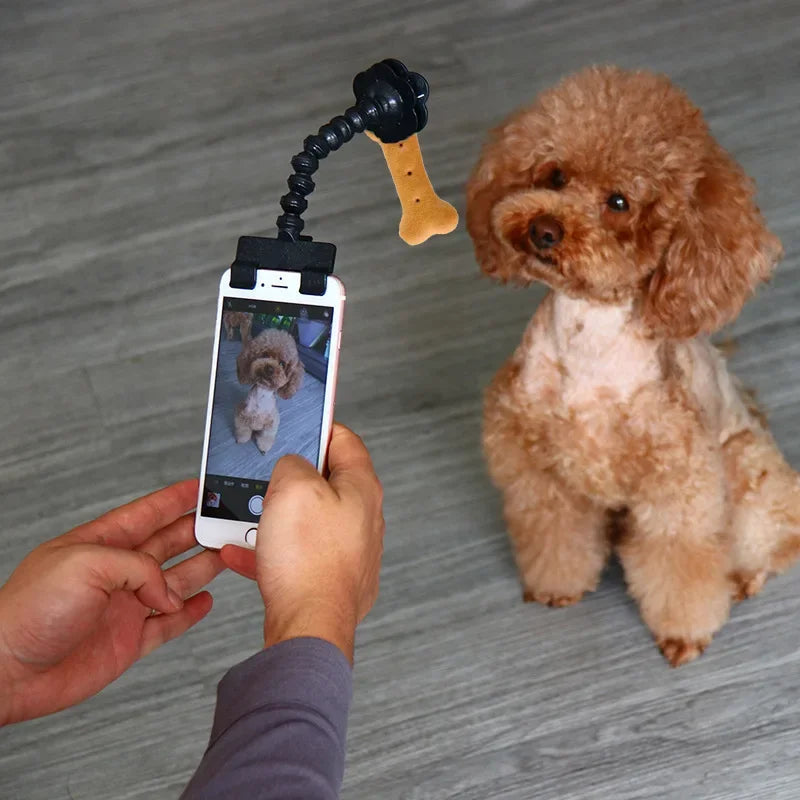 Pet Selfie Stick for Dogs Cat photography tools Pet Interaction Toys Concentrate Training Supplies Dog Accessories Drop Shipping