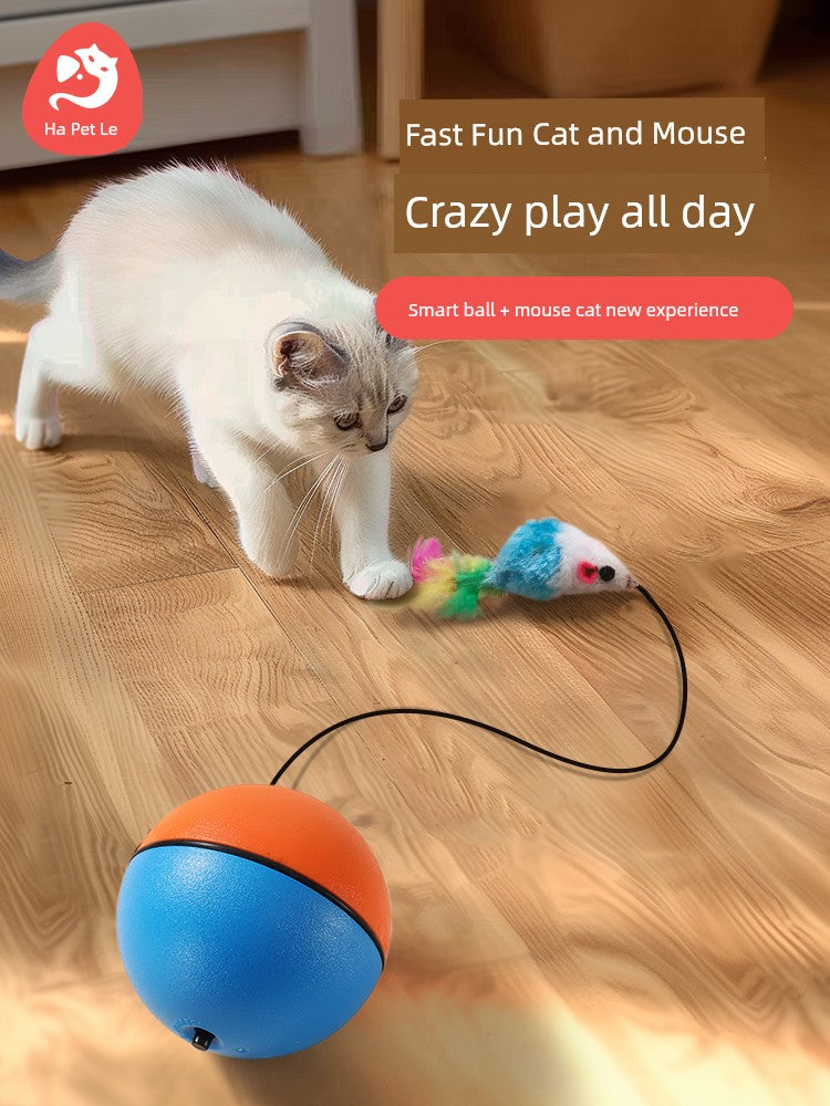 Self-Hi Relieving Stuffy Consumption Mouse Exercise Cat Toy