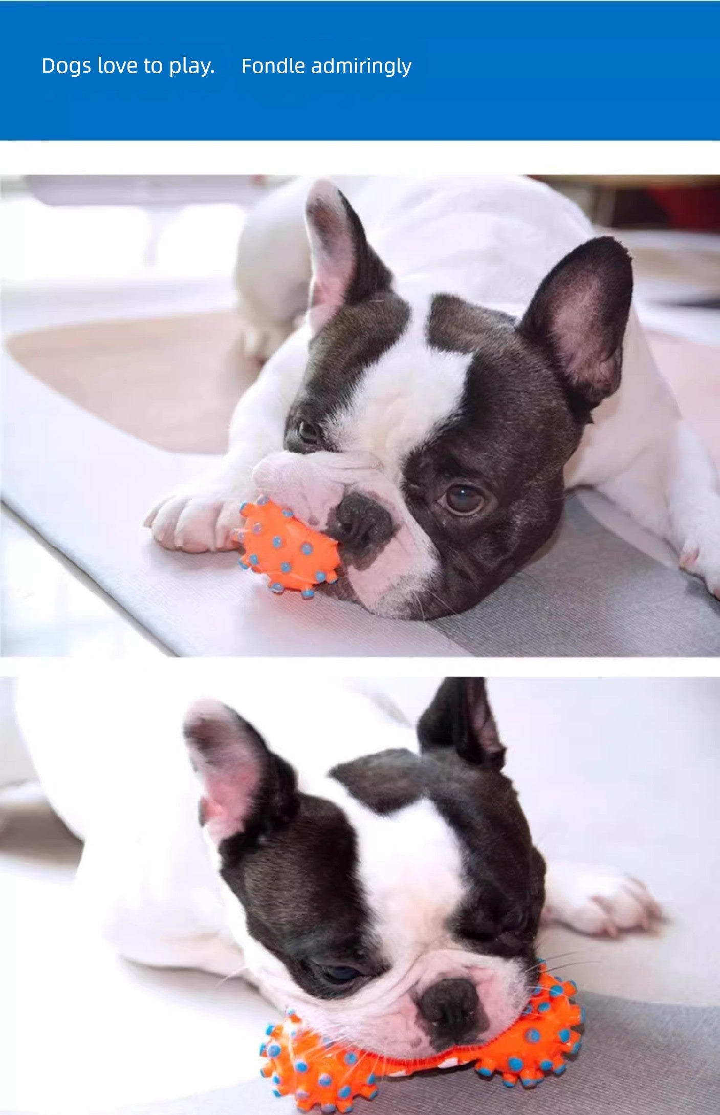 Interactive toy for small to medium dogs