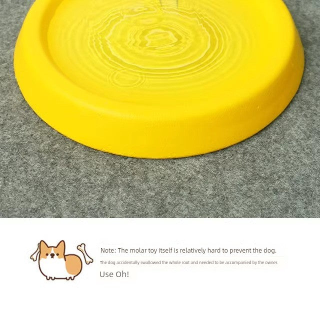 Ring Toy Border Training Dog