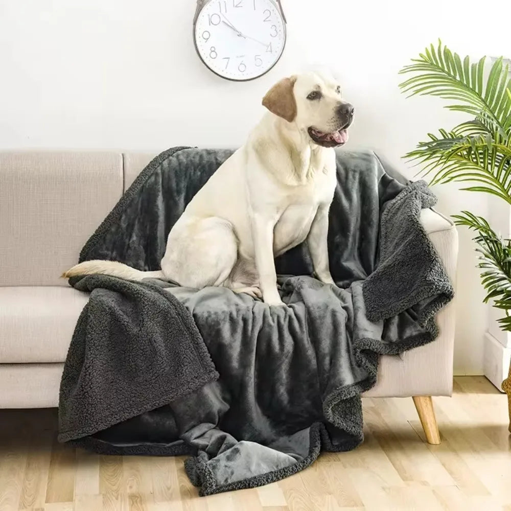 Sofa Bed Blanket Double Sided Sherpa Wool Furniture Protector Waterproof Pet Blanket Liquid Urine Resistant Dog