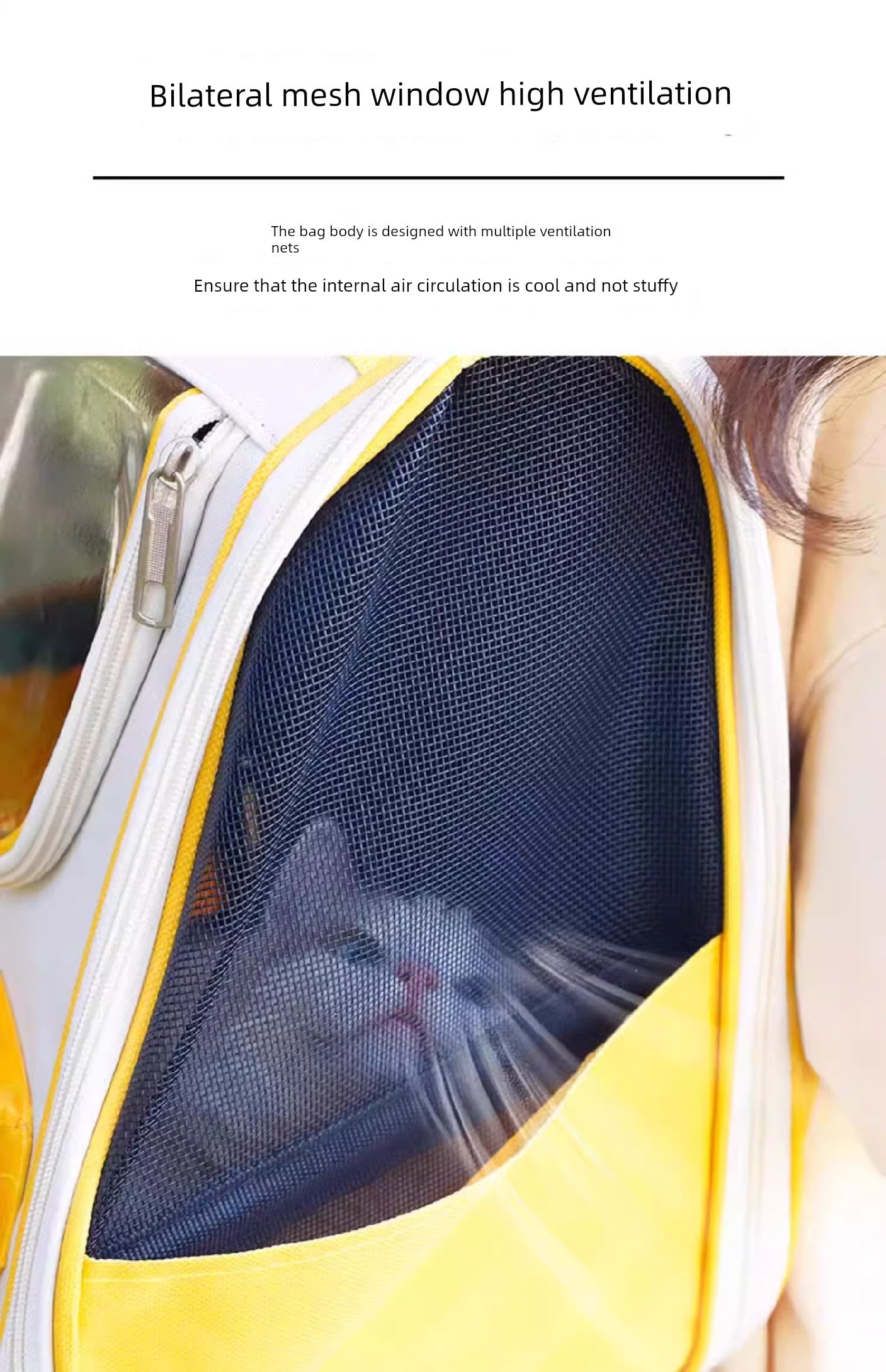 Sac à bandoulière portable transparent neutre pour chat toute l'année