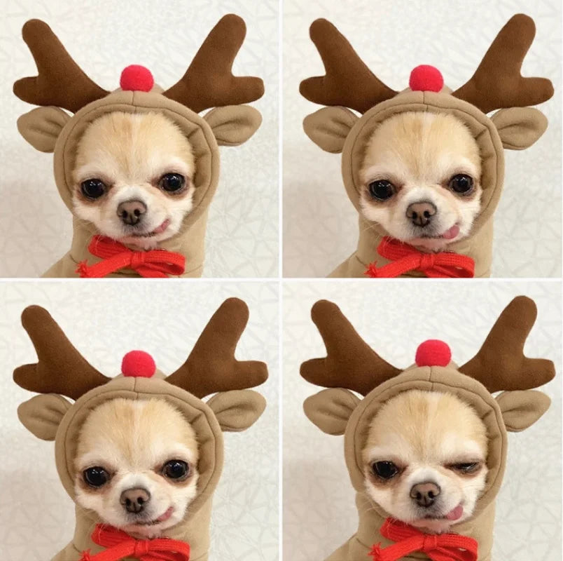 Cute Fruit Dog Clothes Reindeer Small Dogs Hoodies Warm Pet Clothing Puppy Cat Costume Coat Chihuahua Mouse Cheese Jacket Suit