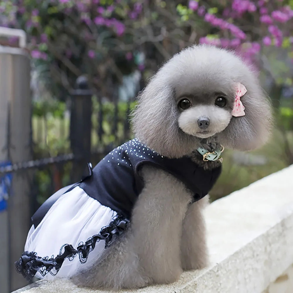 Dog Skirts Pet Wedding Dresses Pet Dresses Poodle Bichon Frise Princess Dress Summer Dog Dresses