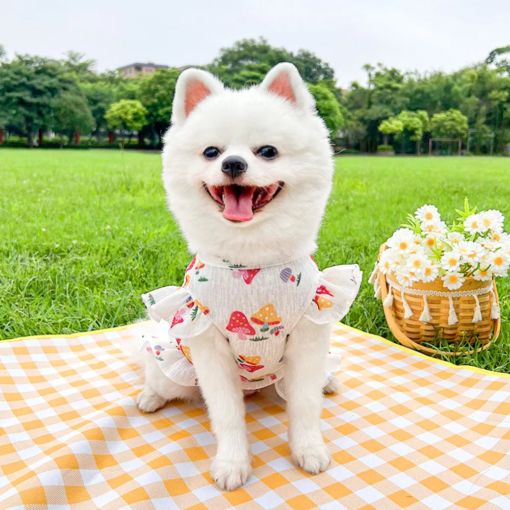 Cute Pet Dog Dress for Small Dogs Thin Puppy Princess Skirt Summer Dog Clothes Chihuahua York Clothing Summer Pet Clothes