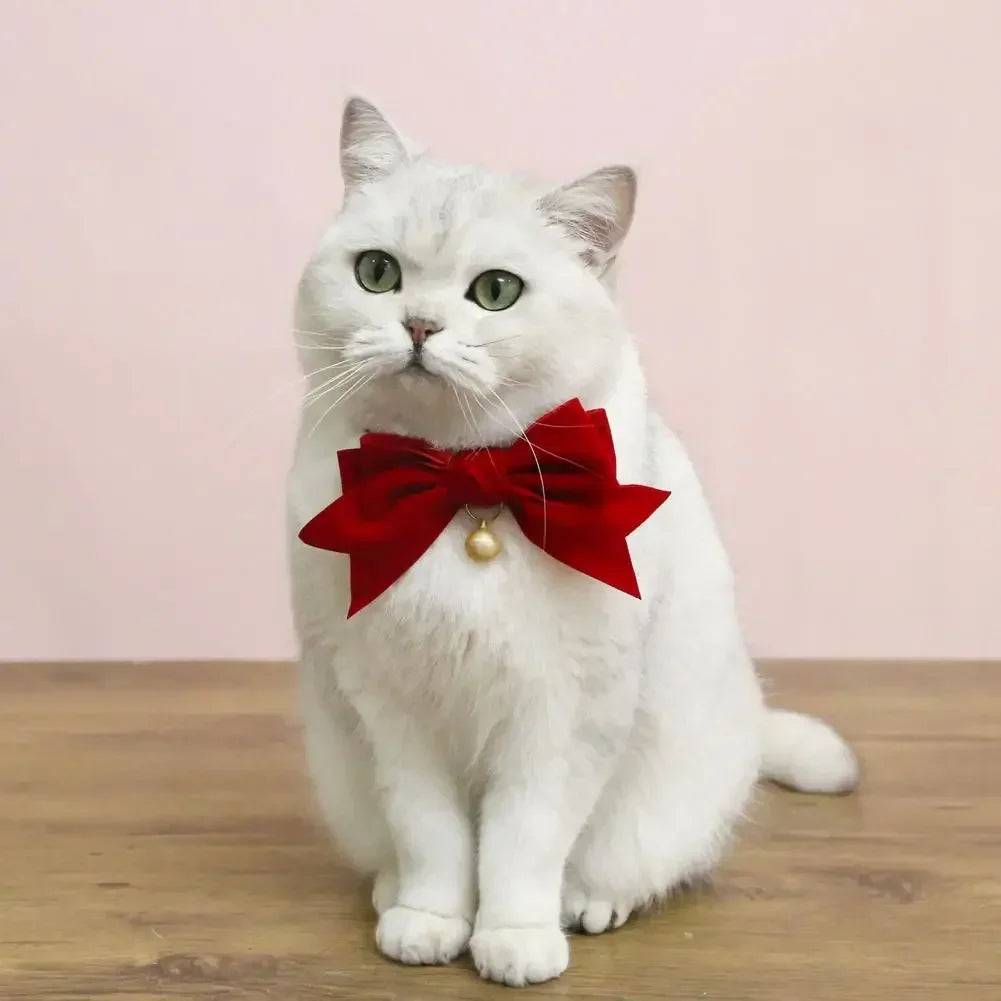 Pet Collar Exquisite Comfortable Decorative Pet Kitten Cat Velvet Bowknot Neck Circle Neck Bow Pet Accessories