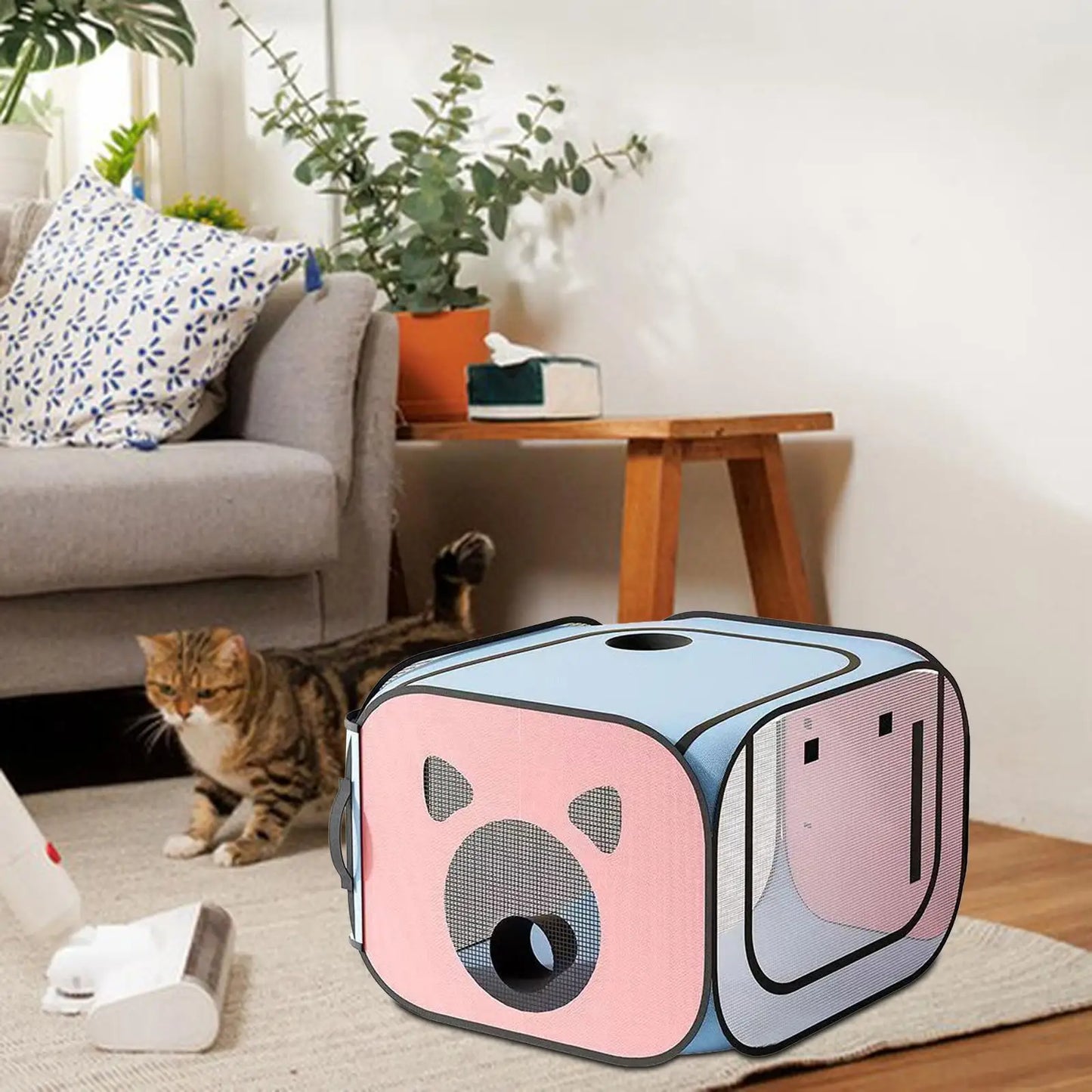 Boîte de séchage pour chien et chat - Étanche - Multifonctionnelle - Pratique - Pour sécher les chats