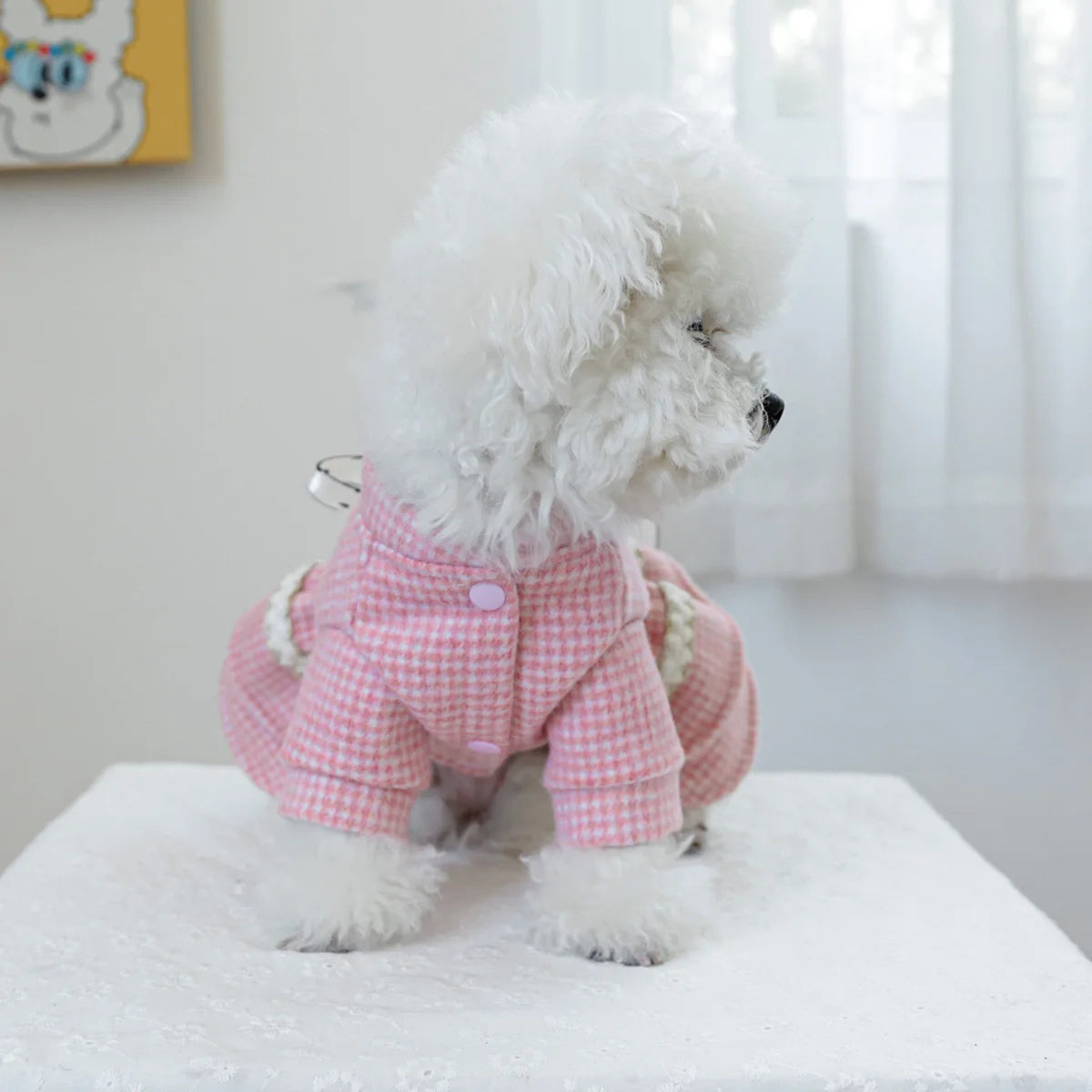 1PC Pet Clothing Dog Cat Autumn/Winter Thick Pink Sweetheart Princess Dress Suitable for Small and Medium sized Dogs