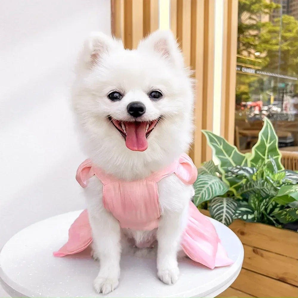 Spring Summer Dog Princess Dress Big Bowknot Pet Skirt for Small Dogs Cats Schnauzer Shih Tzu Puppy Clothing