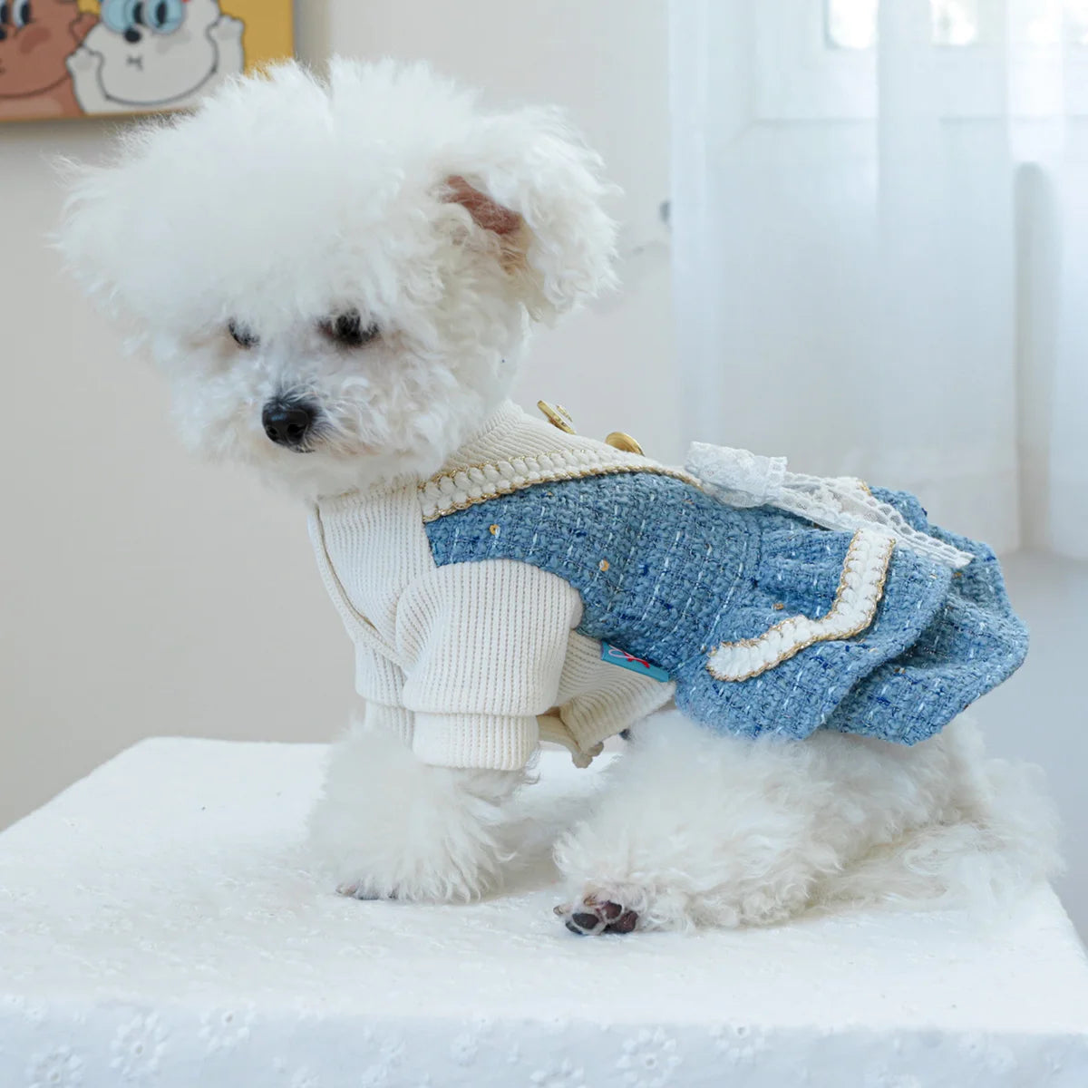 1PC Pet Clothing Autumn/Winter Thick Blues Noble Dress Princess Dress Suitable for Small and Medium sized Dogs