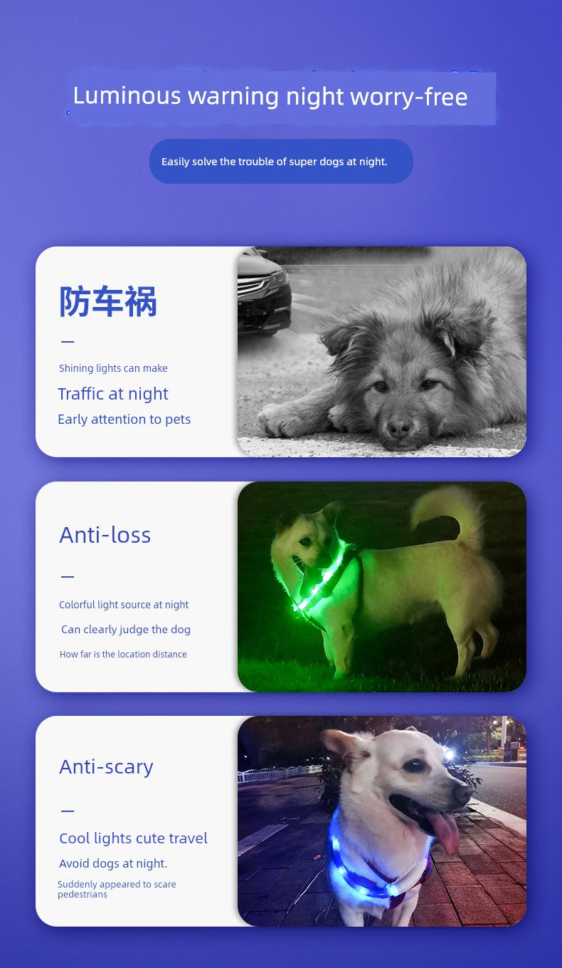 Luminous Night Running Light Big and Small Dogs Anti-Lost Dog