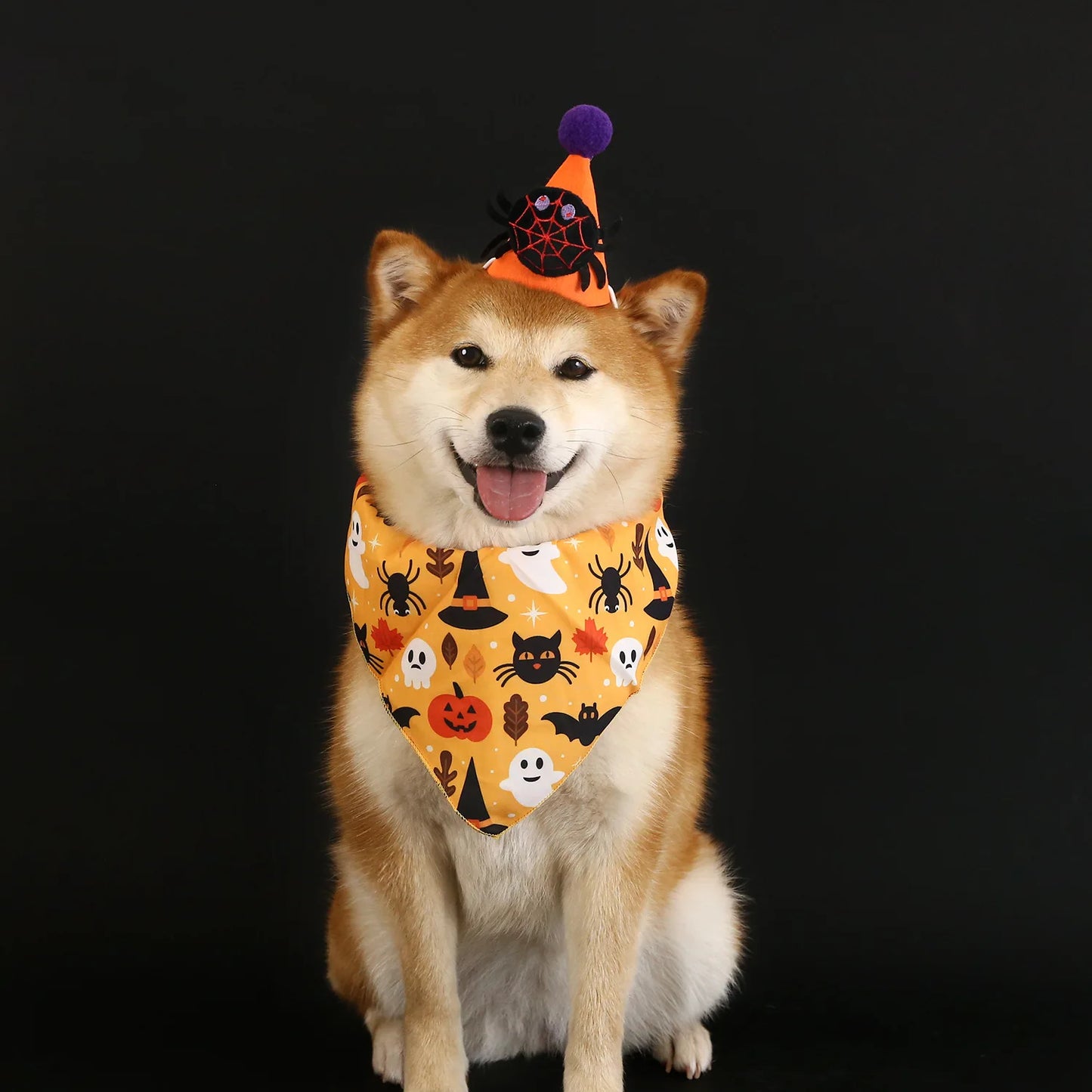 Conjunto de Halloween para mascotas, sombrero de murciélago, araña y calabaza, diadema con babero de encaje, bufanda triangular, accesorios para perros y gatos, lazos para cachorros y perros