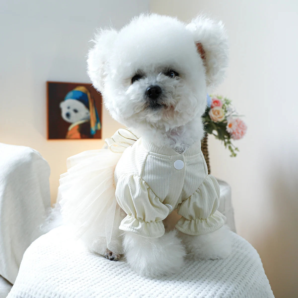 1PC Pet Clothing Spring and Autumn Wedding Bear Wedding Dress Princess Dress Suitable for Small and Medium sized Dogs