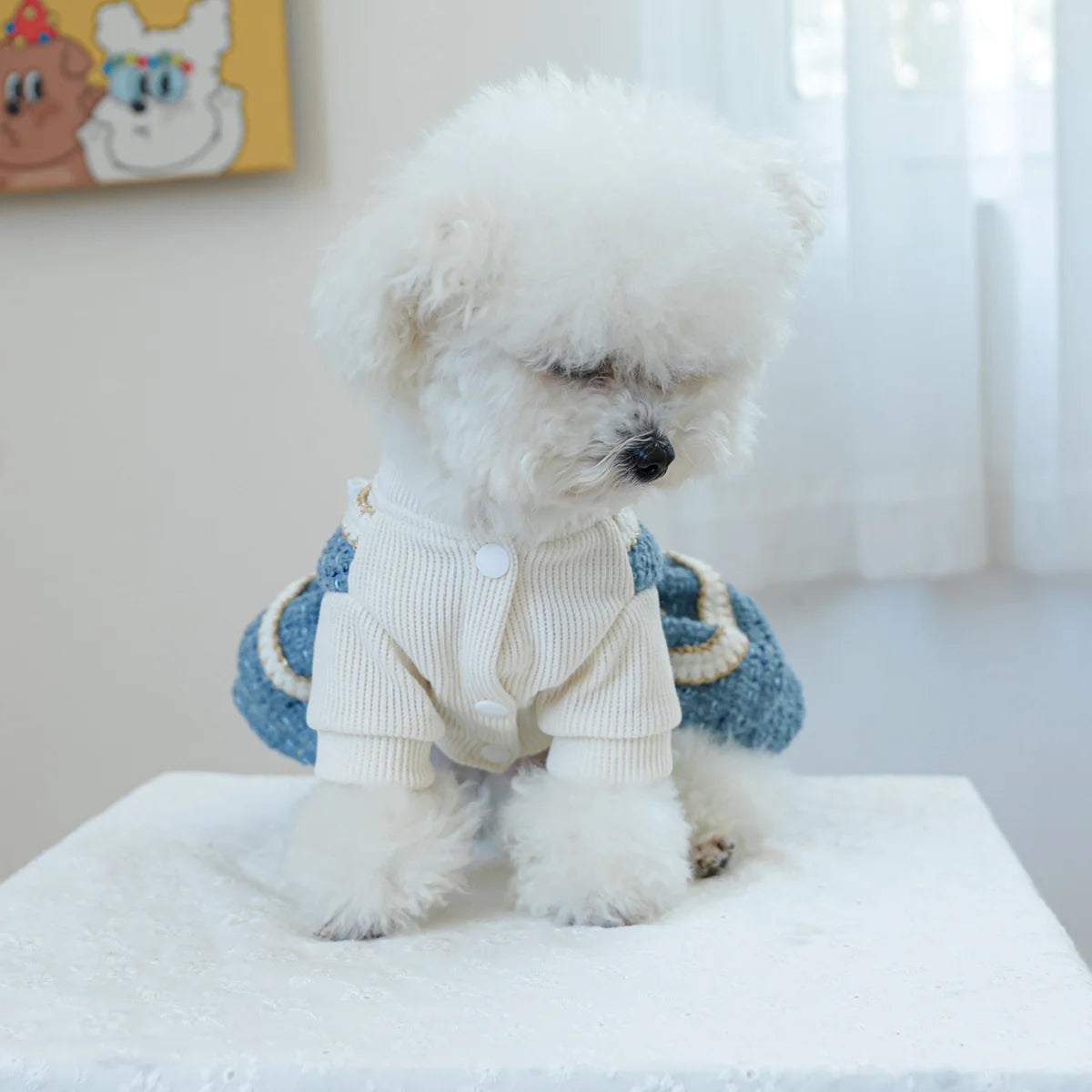 1PC Pet Clothing Autumn/Winter Thick Blues Noble Dress Princess Dress Suitable for Small and Medium sized Dogs