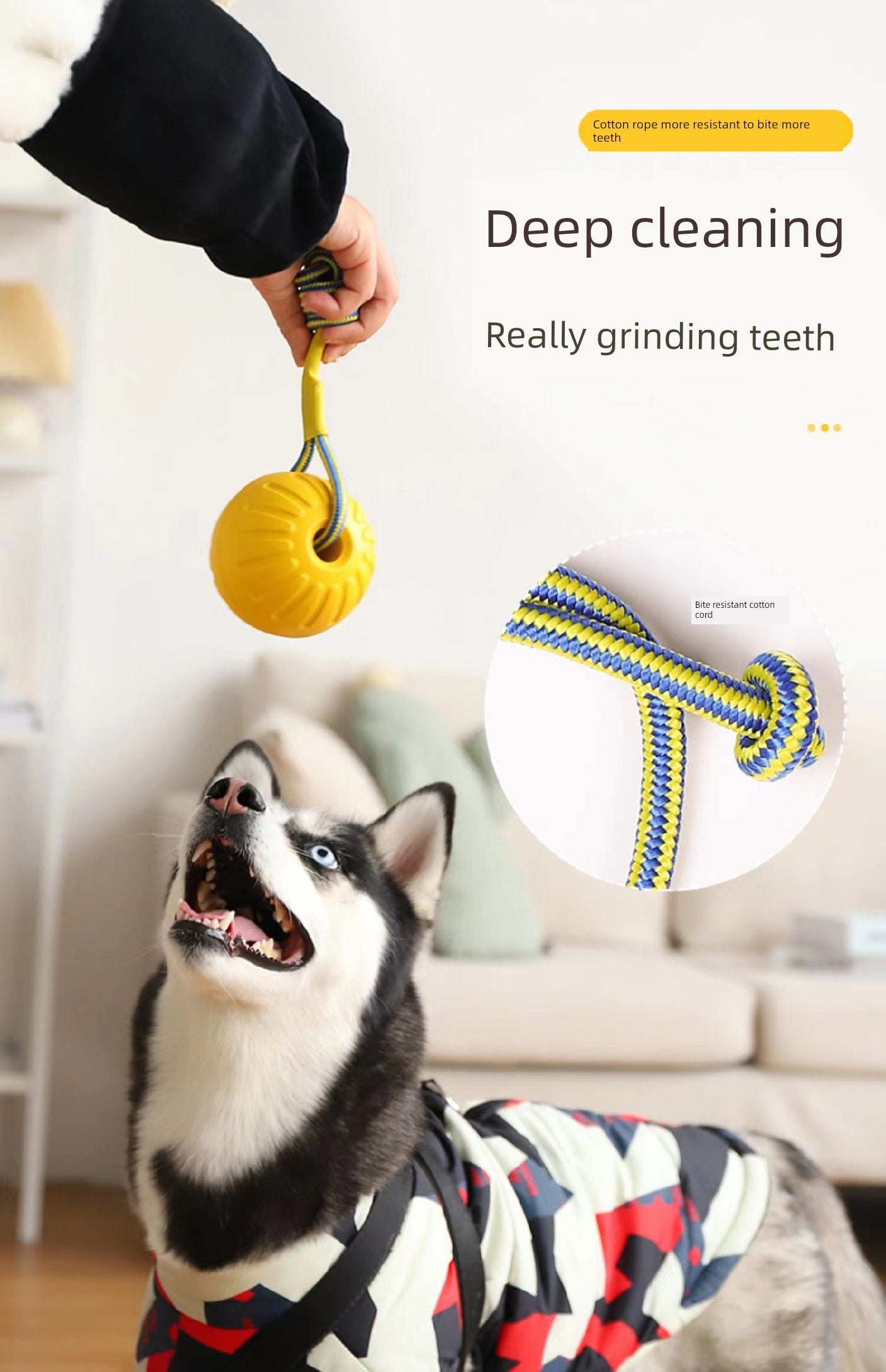 Relieving Stuffy Handy Gadget Pull Ring Border Collie Large Dog Toy Ball