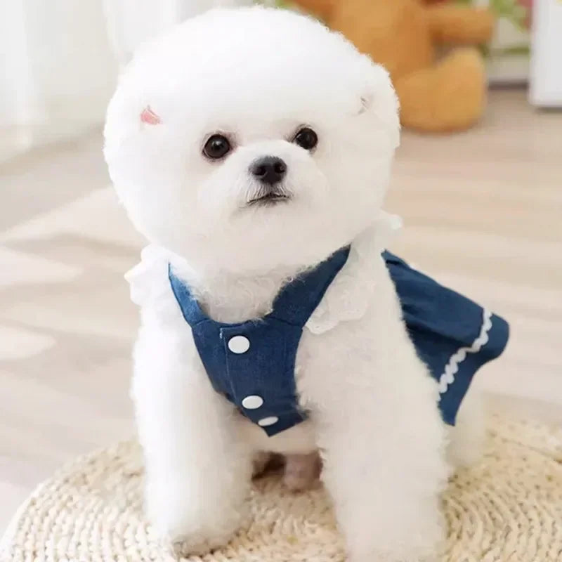 Cute Dog Jeans Dress Strawberry Print Lace Pet Dog Clothes Chihuahua Bichon Frise Summer Puppy Skirt Cat Dog Costume with Buckle