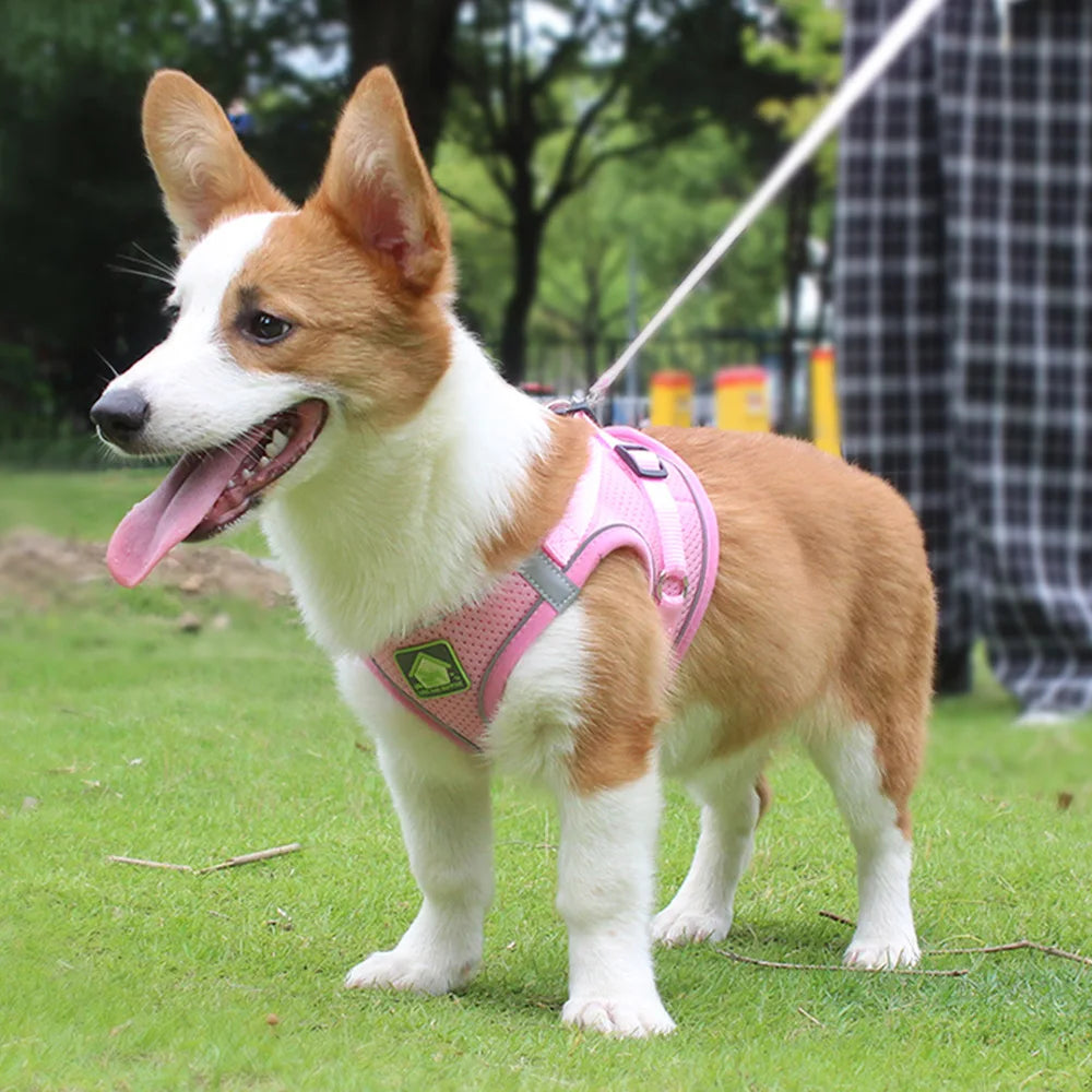 Reflective Pet Harness And Leash Set For Dog & Cat, No Pull Dog Vest Harness With Breathable Mesh