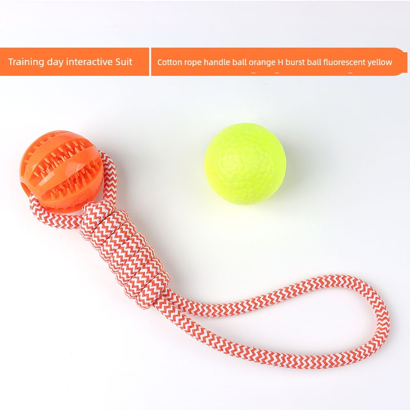 Interactive Dog with Tetherball Pet Supplies