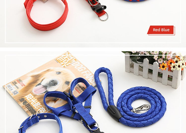 Teddy Large Collar Pet Supplies Dog Hand Holding Rope