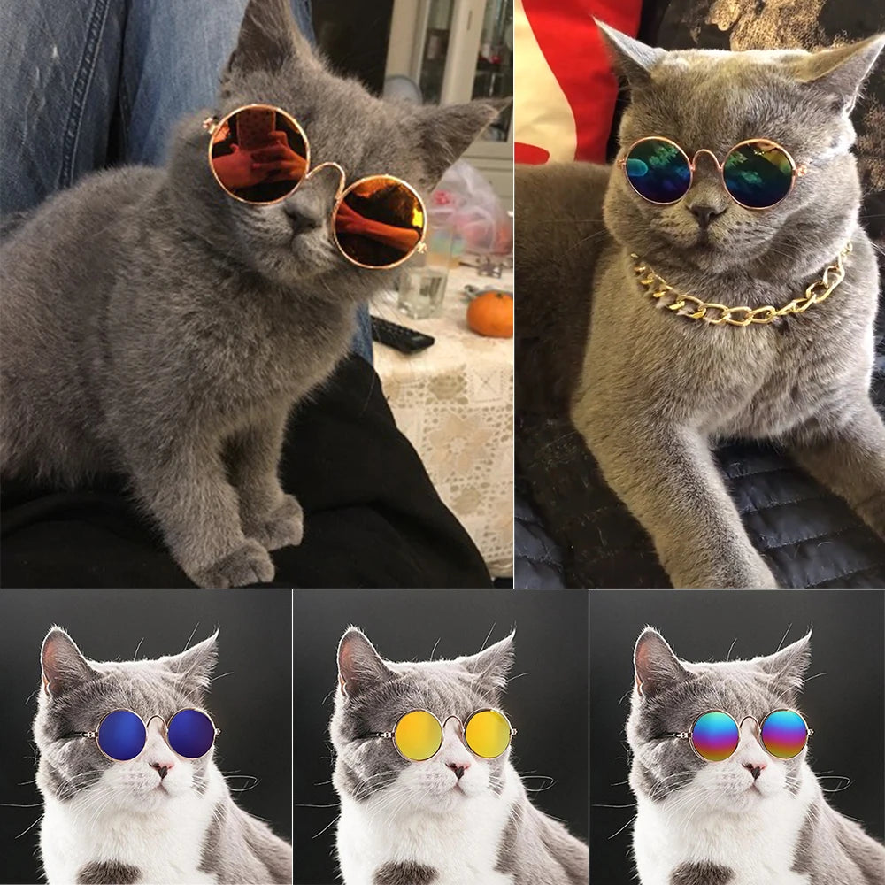 Handsome Pet Cat Glasses Eye-wear Sunglasses For Small Dog Cat Pet Photos Props Accessories Top Selling Pet Products