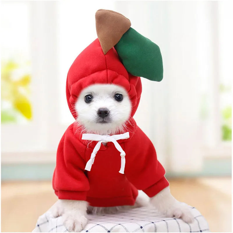 Cute Fruit Dog Clothes for Small Dogs Hoodies Warm Fleece Pet Clothing Puppy Cat Costume Coat for Puppy Small Medium Dogs Cats