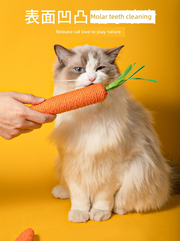 Cute Sound Carrot Grinding Claw Relieving Stuffy Cat Toy