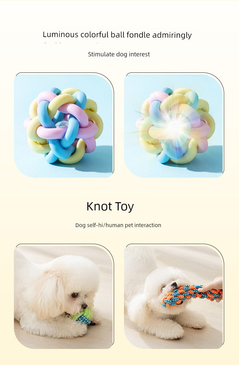 Zihi Relieving Boredom Handy Gadget Toy Bichon Small Dog