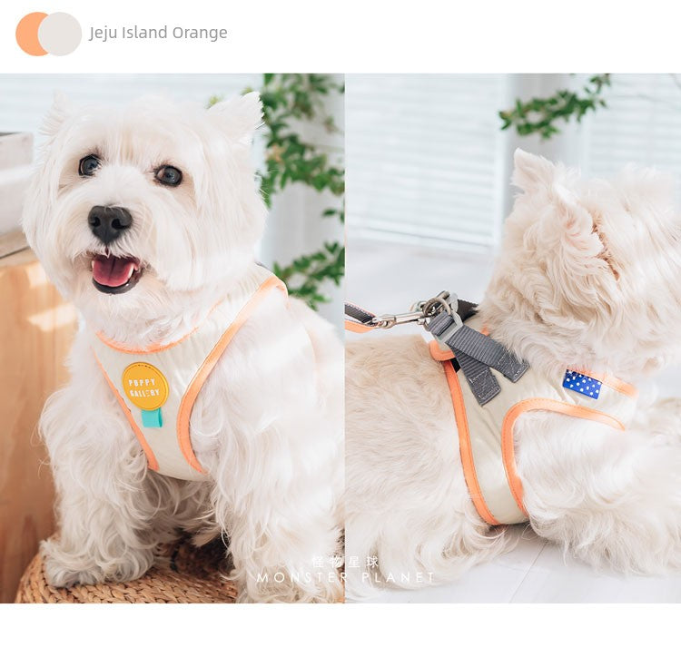 Contrast Color Chest and Back Tow Rope Collar Dog