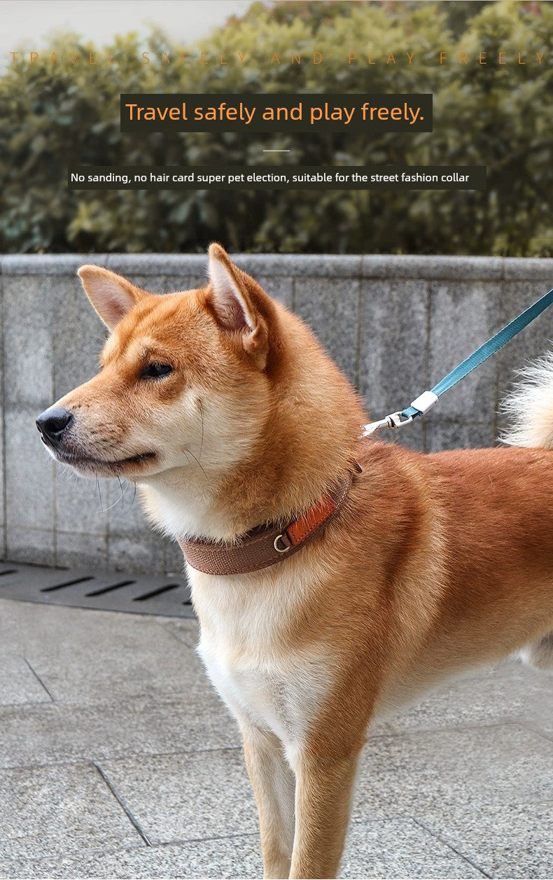 Medium-Sized Dog Golden Retriever Corgi Labrador Pet Dog