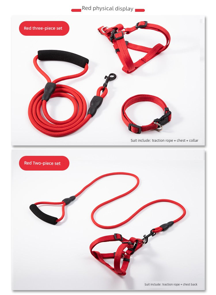 Harness and Leash for Small to Medium Sized Dogs