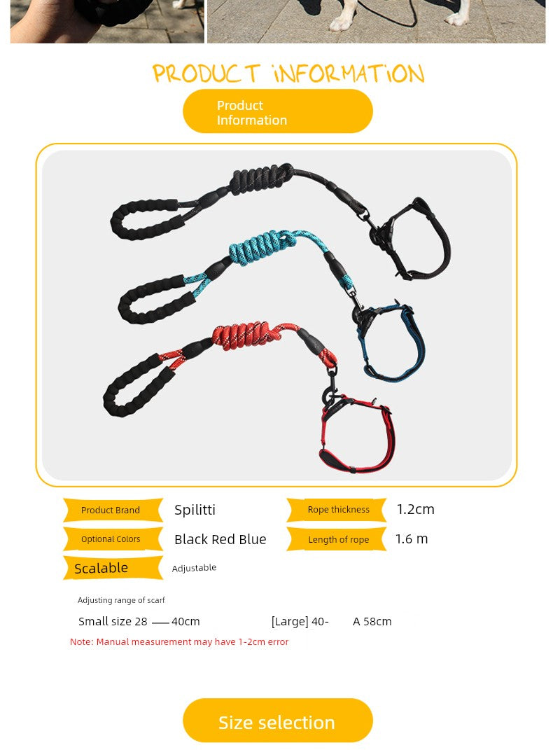 Long Leash and Collar for Large Dogs