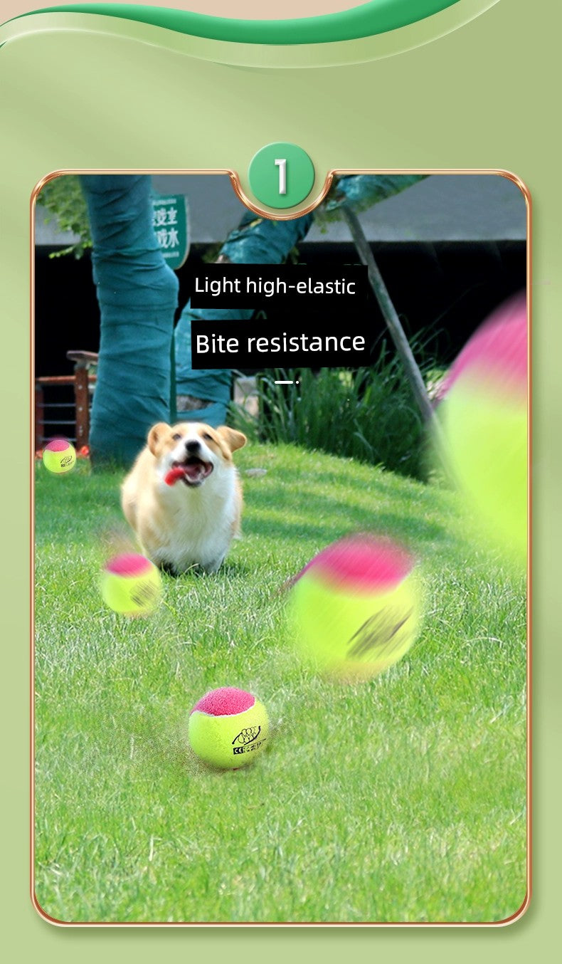 Dog Toy Ball Bite-Resistant Vocalization Pet Supplies Tennis Tooth Cleaning Relieving Stuffy Handy Gadget Self-Hi Large Dog Outdoor Dog Training