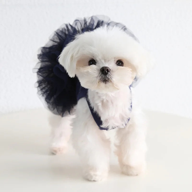 Elegant Pet Puff Skirt Dog Dance Skirt Spring/Summer New Dog Strap Dress Cat Clothing Pet Clothing Cute Bottom Skirt