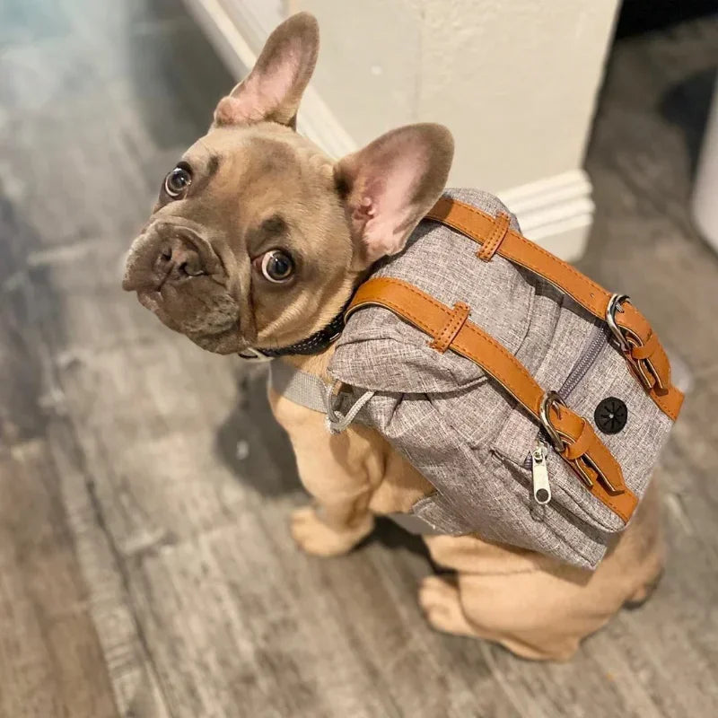 Preppy Style Bulldog Dog Travel Backpack Harness For Small Medium Dogsr To Wear Outdoor Cute Dog Carrier Bag Backpack Pets