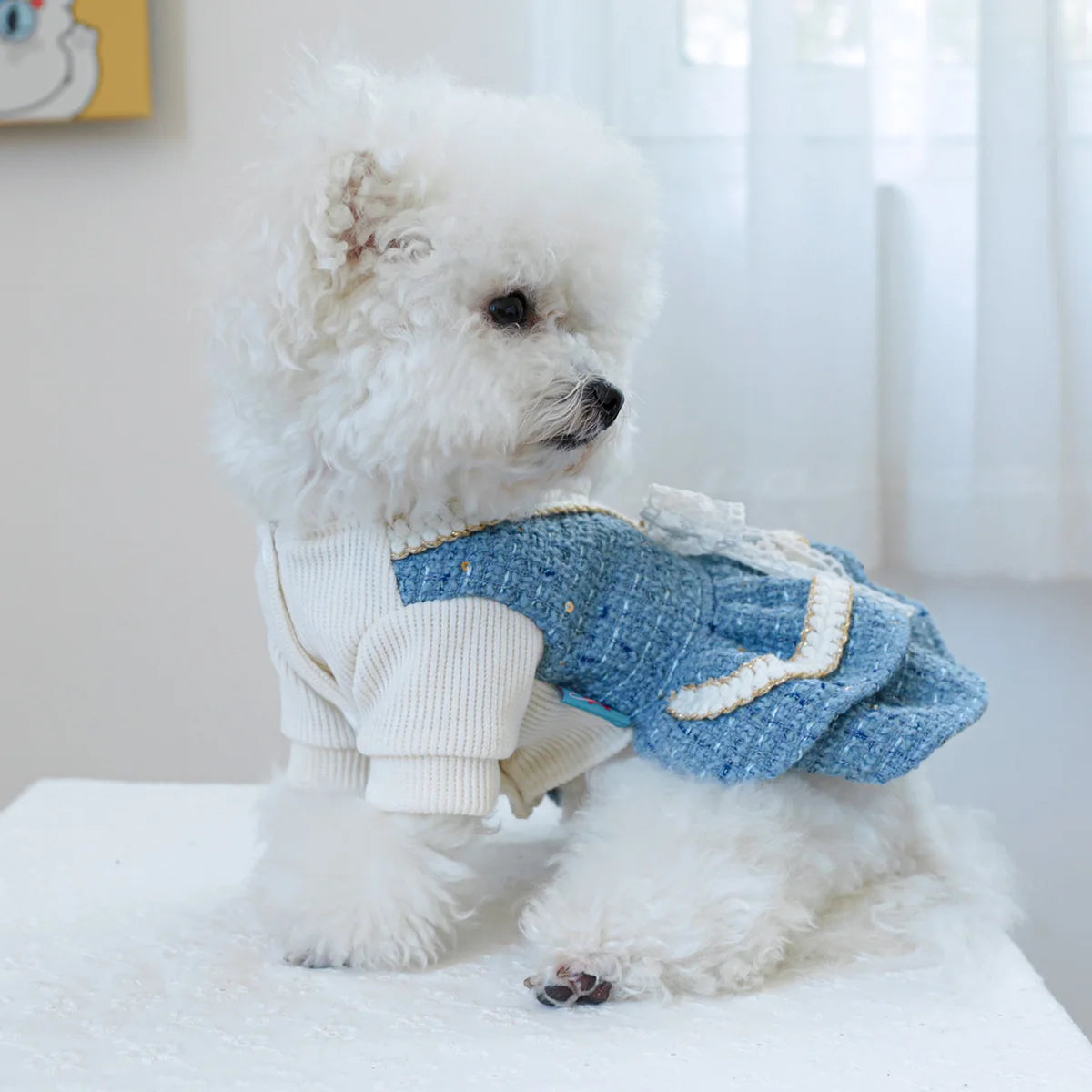 1PC Pet Clothing Autumn/Winter Thick Blues Noble Dress Princess Dress Suitable for Small and Medium sized Dogs