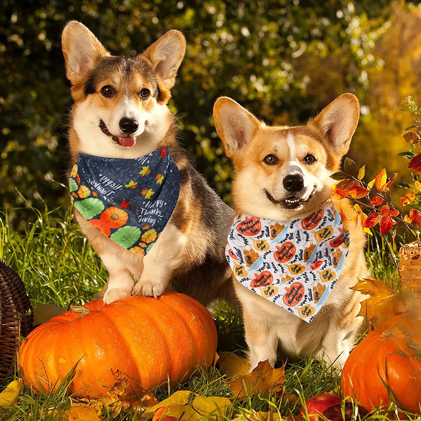 20 Packs Thanksgiving Dog Bandana Fall Autumn Pet Bandana For Dog Turkey Pumpkin Dog Triangle Scarf For Small Medium Pet Cats