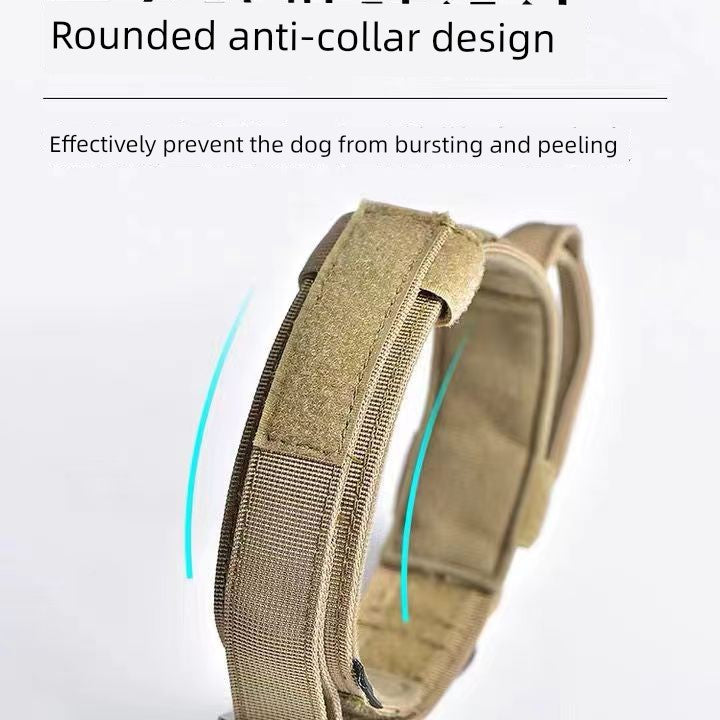 Large Dog Collar