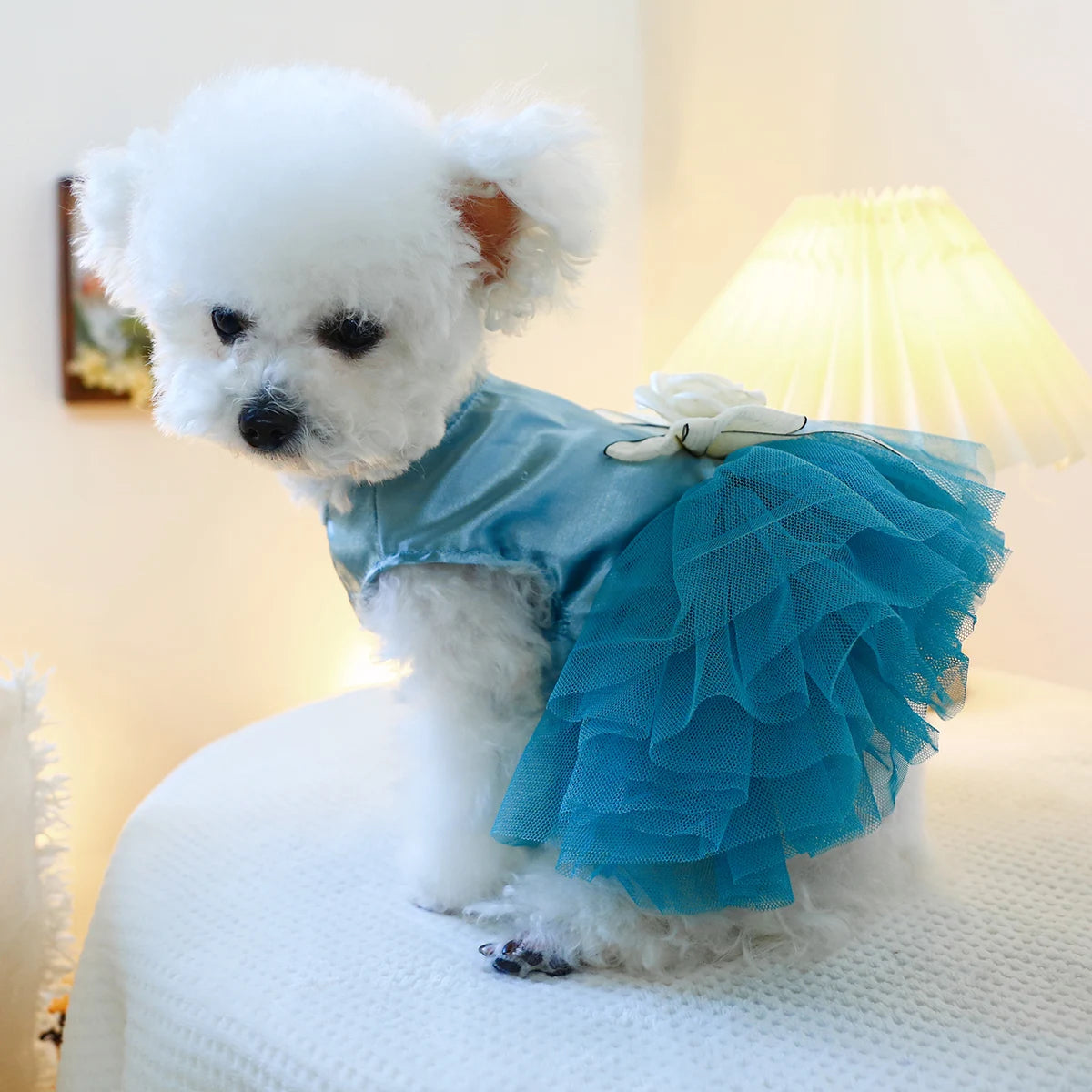 1PC Pet Clothing Cat Spring/Summer Blue Tank Top Bow Princess Dress Traction Buckle Suitable for Small and Medium sized Dogs