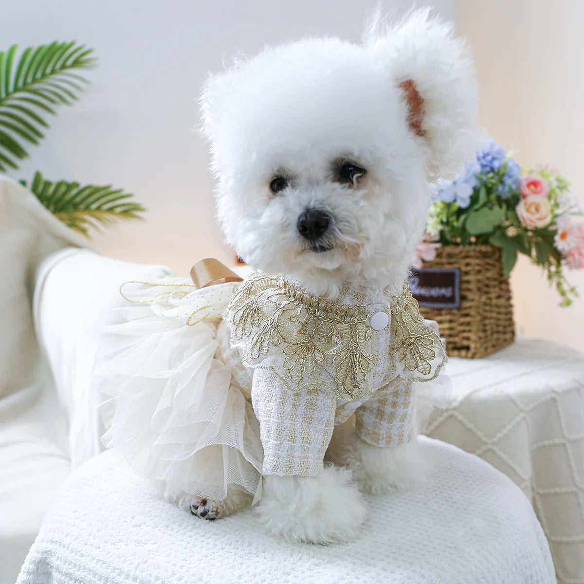 1PC Pet Clothing Spring and Autumn Dream Starry Wedding Dress Princess Dress Suitable for Small and Medium sized Dogs