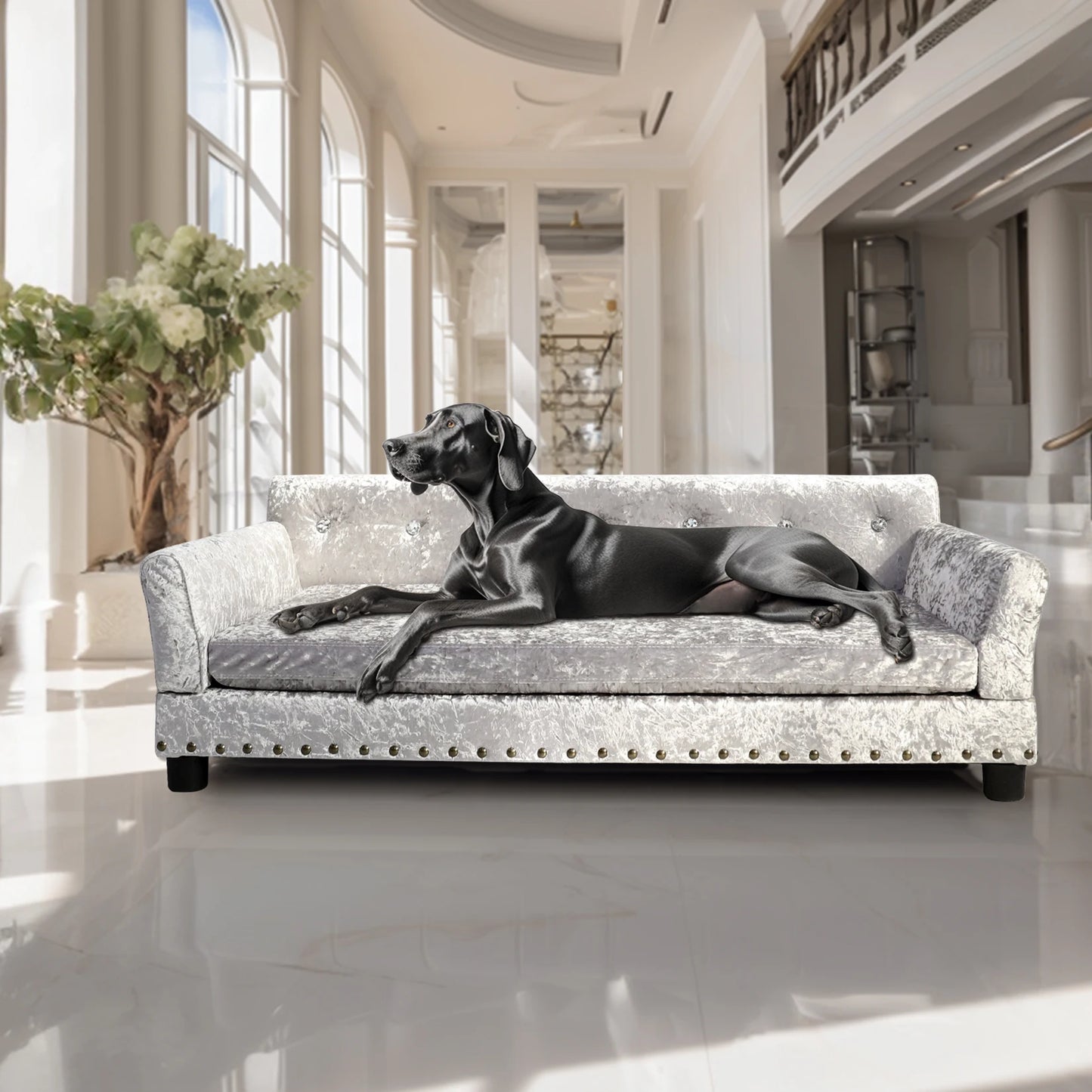 L XXL Large Dog Bed Sofa Dutch Velvet Upholstered Pet Lounge Chair Couch Bed Solid Wood Legs Detachable Pad Pet Supplies