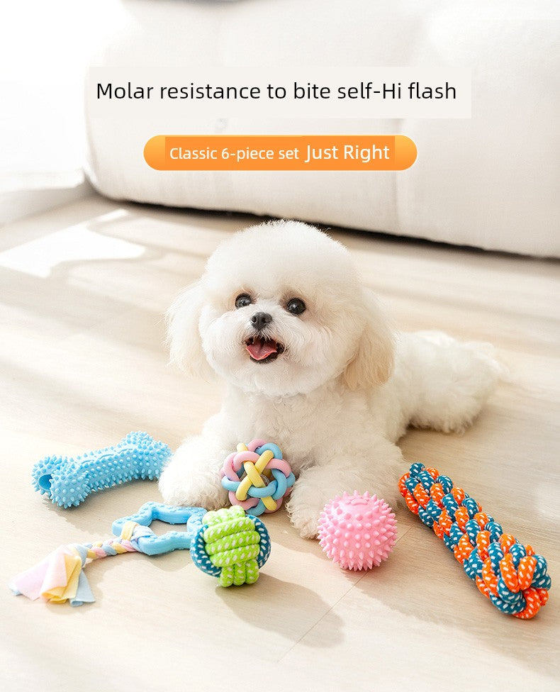 Zihi Relieving Boredom Handy Gadget Toy Bichon Small Dog