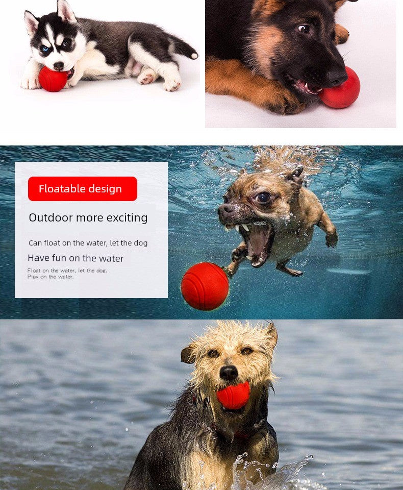 Toy Ball Bite-Resistant Molar Elasticity Relieving Stuffy Dog