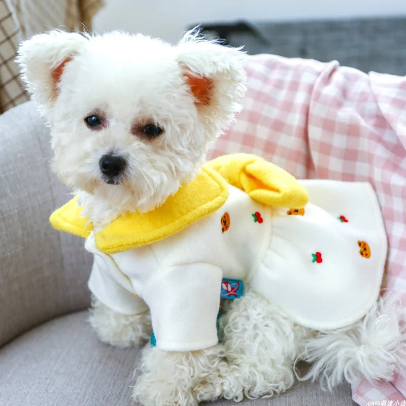 1PC Pet Clothing Cat Autumn/Winter Thickened Cheese Bear Princess Dress White Suitable for Small and Medium Dogs