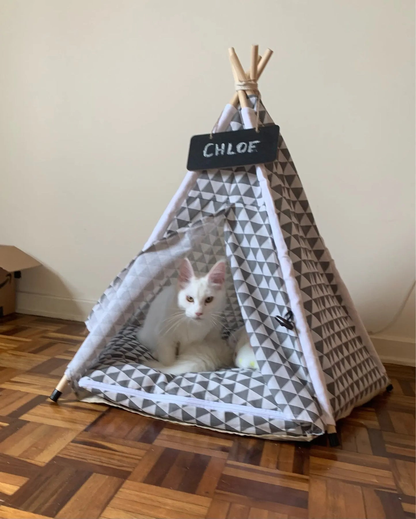 Tente pour animaux de compagnie, lit pour chien, portable, amovible, lavable, tipi, chiot, chat, intérieur et extérieur, niche avec coussin et tableau noir