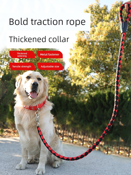 Medium-Sized Dog Hand Holding Rope