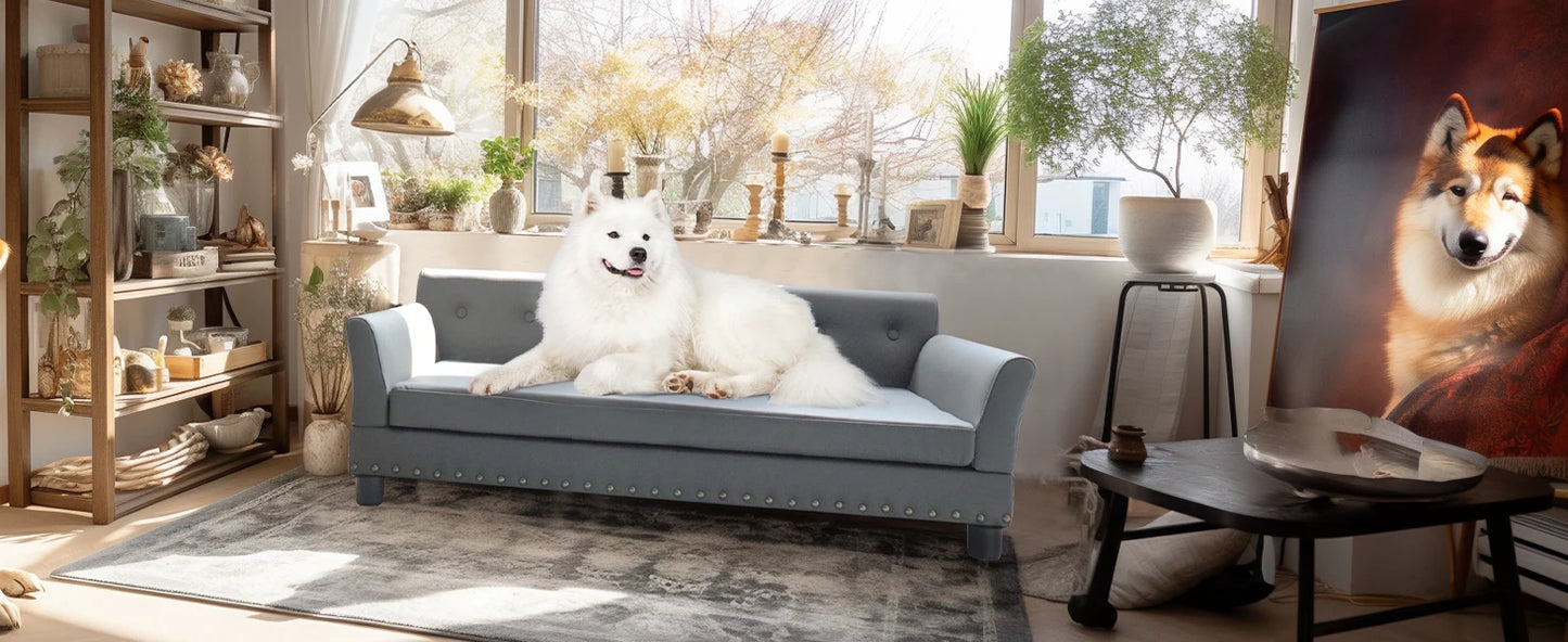 Comfortable Dog Couch, Modern and Stylish Dog Sofa