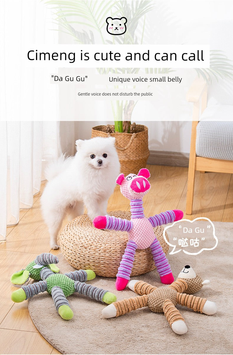 Teddy Medium Large Dog Educational Pet Dog