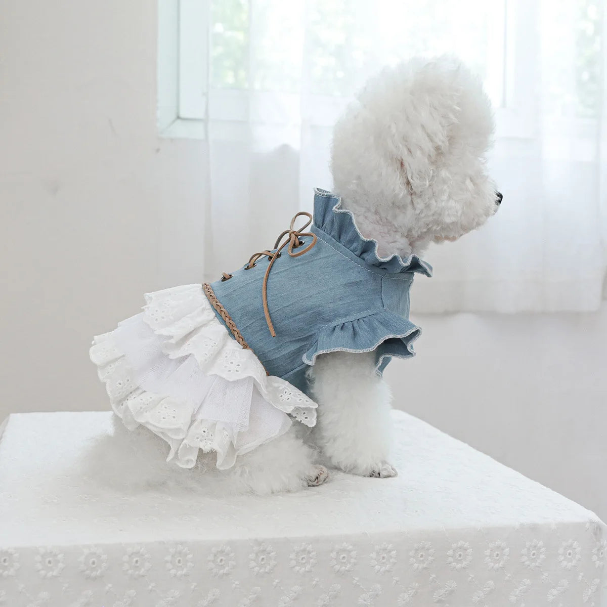 Pet Cowboy Lace Coat for Dogs Cats Ponds Dresses Cute Cowboy Skirts Dog Dresses for Small Dogs Puppy Clothes for Small Dogs