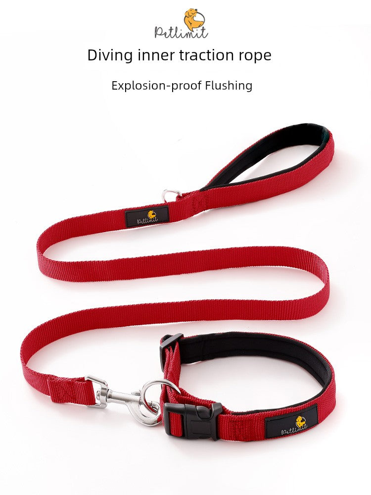 Border Collie Teddy Collar Dog Hand Holding Rope