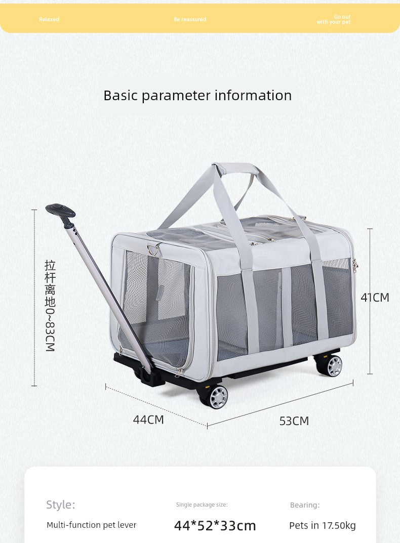 Valise à roulettes de voyage portable multi-chats de grande capacité pour voiture